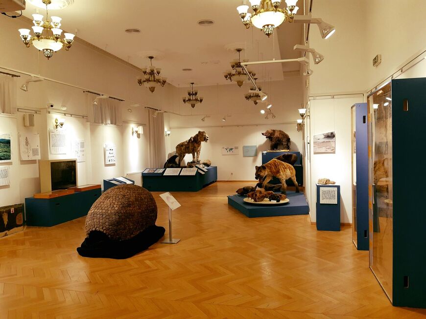 Венгерский музей естественных наук