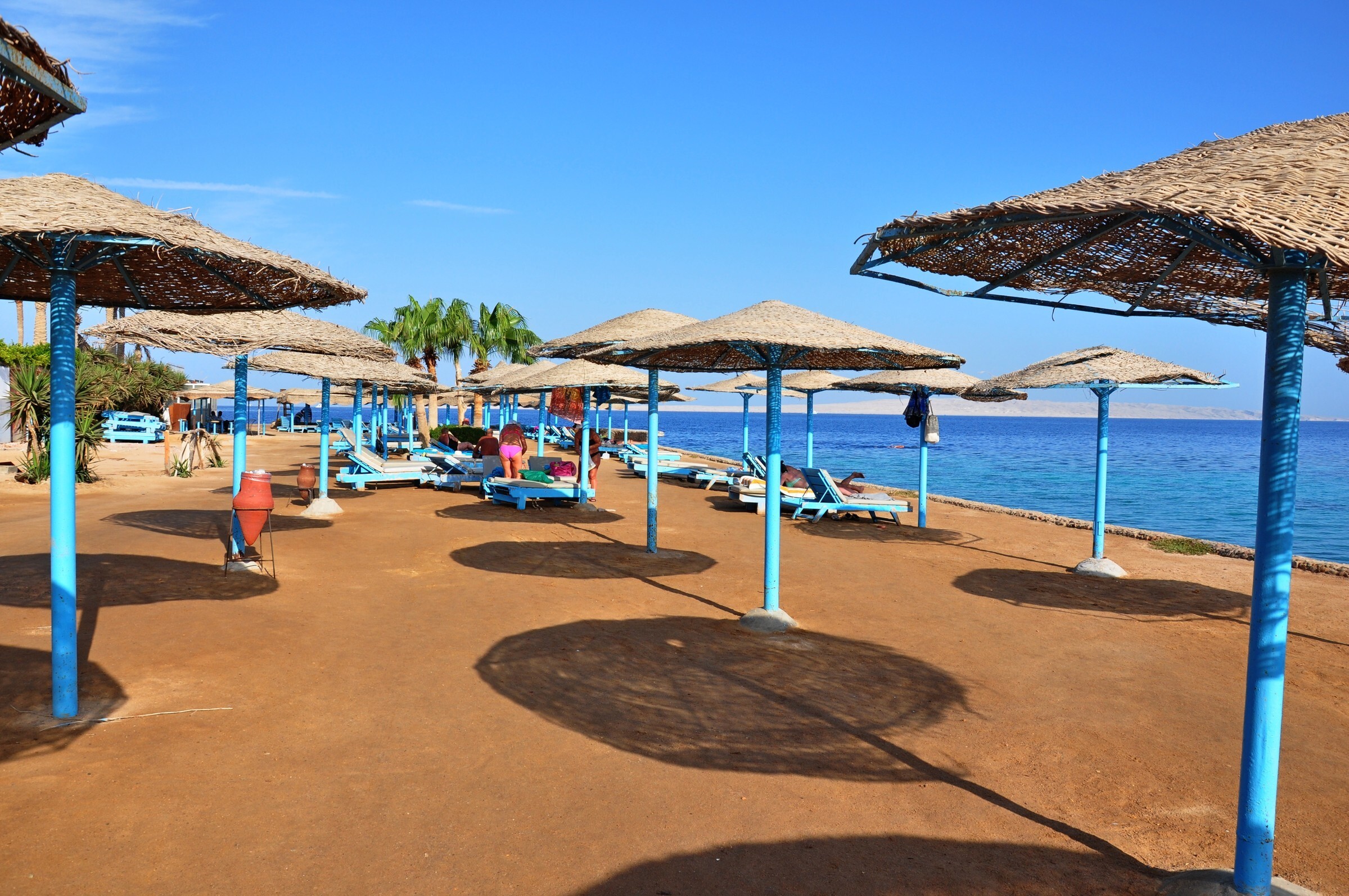 Отели хургады с коралловыми рифами. Zahabia Hotel Beach Resort 3 Хургада. Zahabia Hotel Beach Resort пляж. Zahabia Hotel Beach Resort 3 Хургада фото. Пляж Олд Вик в Хургаде.