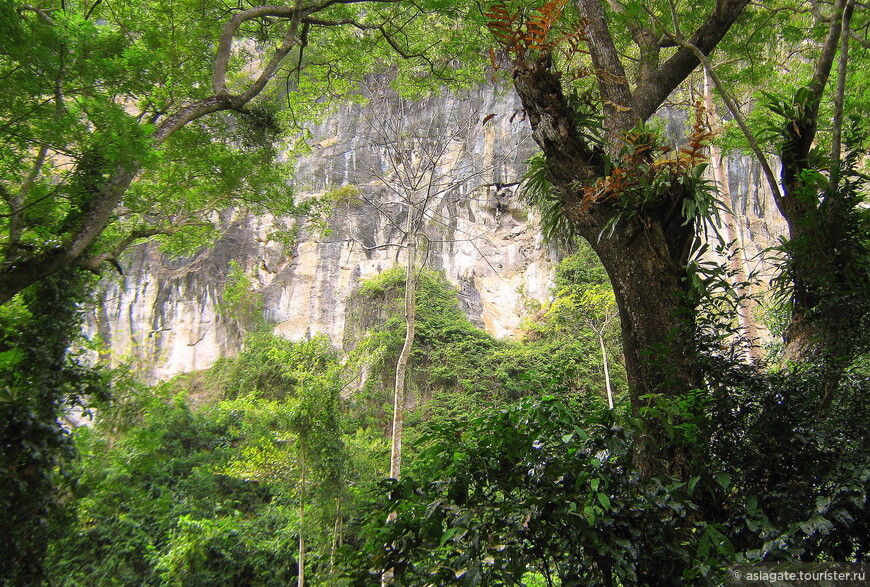 Нацпарк Кхао Чамао — Као Вонг: джунгли, пещеры, водопады