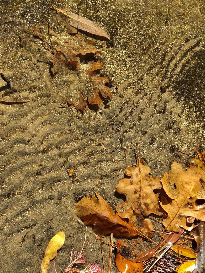 Осень на озере Юма. Национальный лес «Секвойя». США
