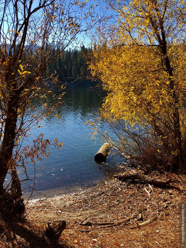 Осень на озере Юма. Национальный лес «Секвойя». США