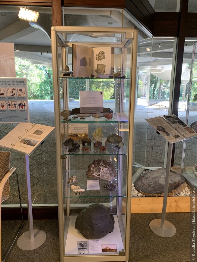 Провинциальный геологический музей с уникальными экспонатами