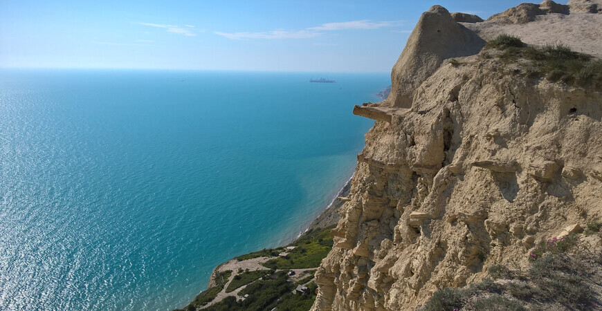 original.jpg?t=1655393595152