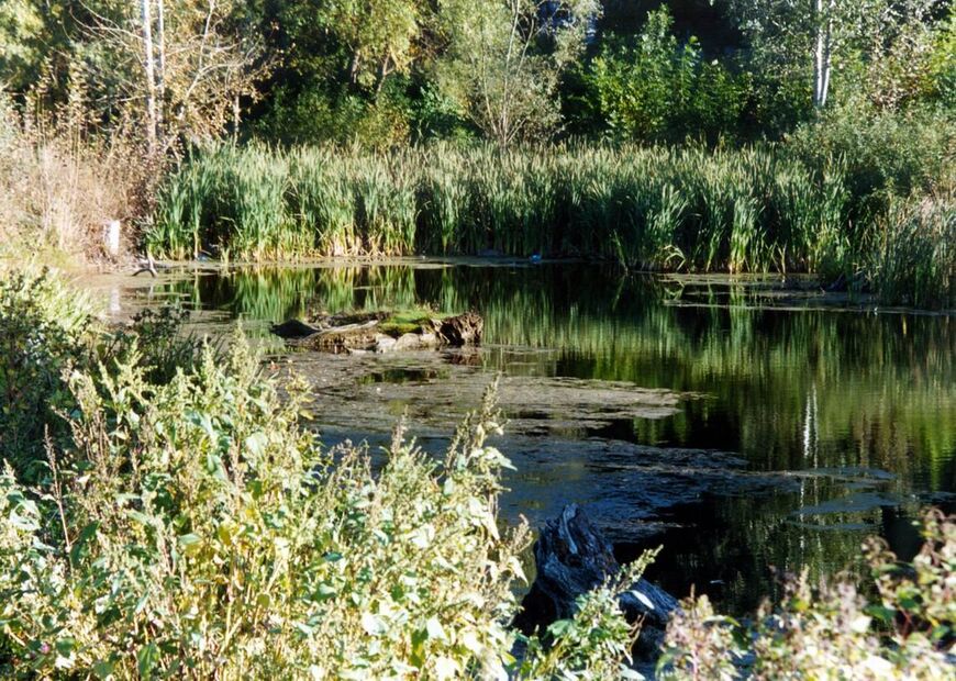 Парк «Воронежские озёра»
