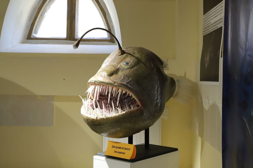 Музей подводной археологии