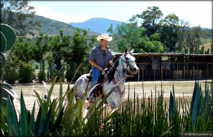 Большое путешествие по Мексике ч.4 — Оахака, Монте-Альбан и мескаль