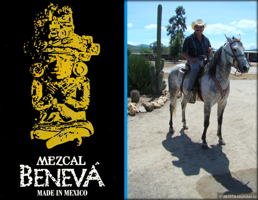 Большое путешествие по Мексике ч.4 — Оахака, Монте-Альбан и мескаль
