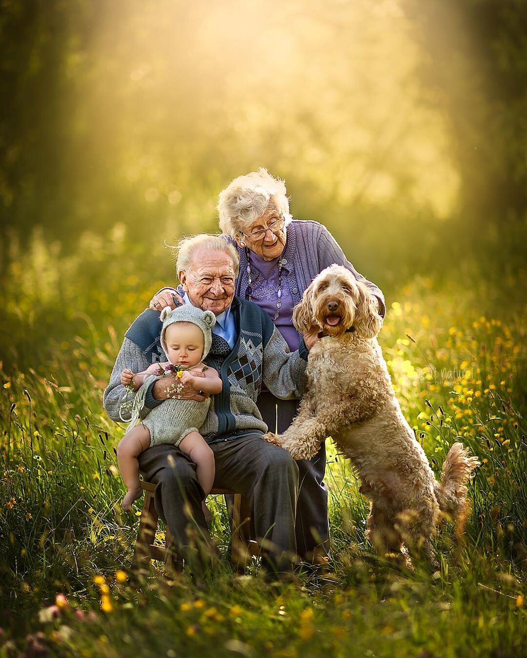 Трогательный возраст. Бабушка дедушка и внуки. Бабушка и дедушка с внуками. Фотосессия бабушка с внуками. Дети с бабушкой и дедушкой.