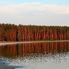 Озеро Горькое-Узково
