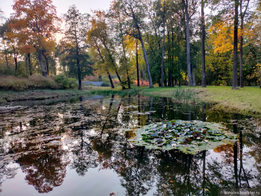 Пейзажный парк Александрия в Петергофе