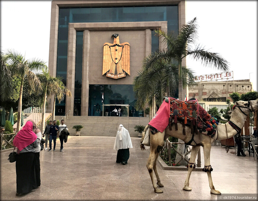 Открытие Каира, ч.3 — Город мёртвых и прощание с исламским мегаполисом