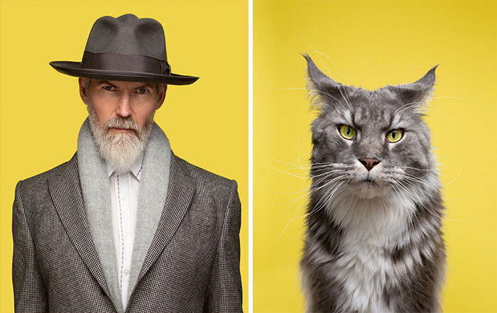 10 поразительных фото, где коты как две капли воды похожи на людей