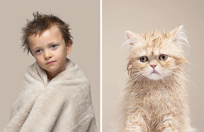 10 поразительных фото, где коты как две капли воды похожи на людей