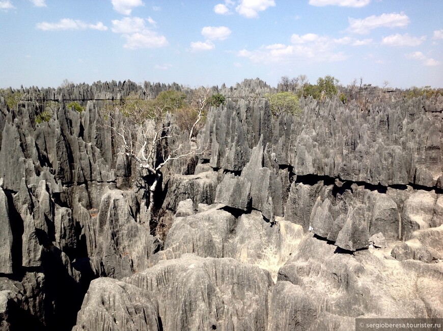 Мадагаскар. Остроконечные скалы Цинги 