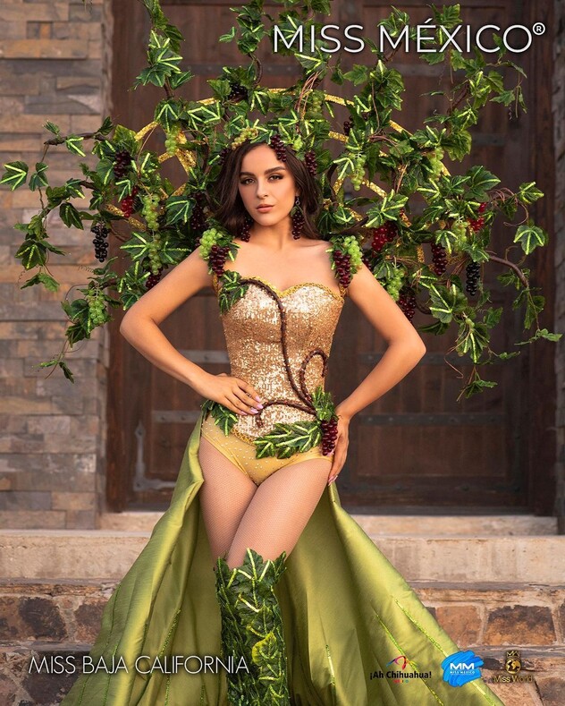 Конкурс красоты «Мисс Мексика - 2020»: самые запоминающиеся наряды участниц