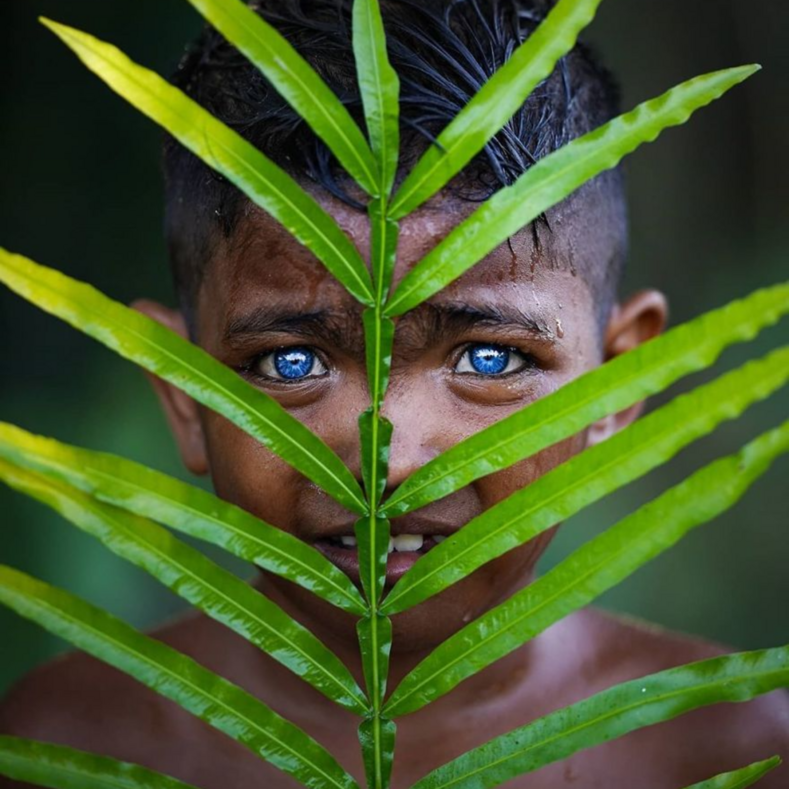 Фото голубоглазых дикарей из джунглей Индонезии покорили весь мир (причина такого необычного цвета глаз — генетическая аномалия)
