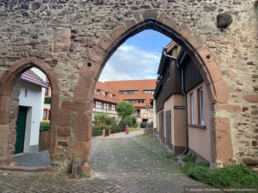 Один из старейших немецких городов — римский Ладенбург — жемчужина Неккара