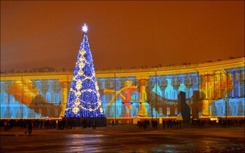 На Дворцовой площади в Петербурге впервые за 7 лет установят живую новогоднюю ель