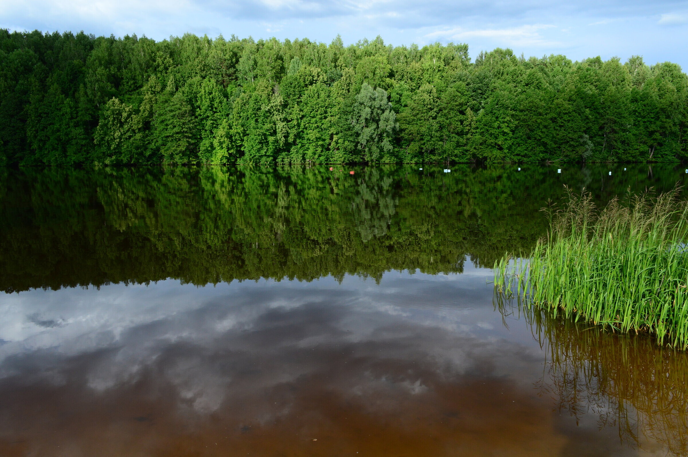 Рыбалка на озере Сынтул (Рязанская область) - полезные советы и рекомендации