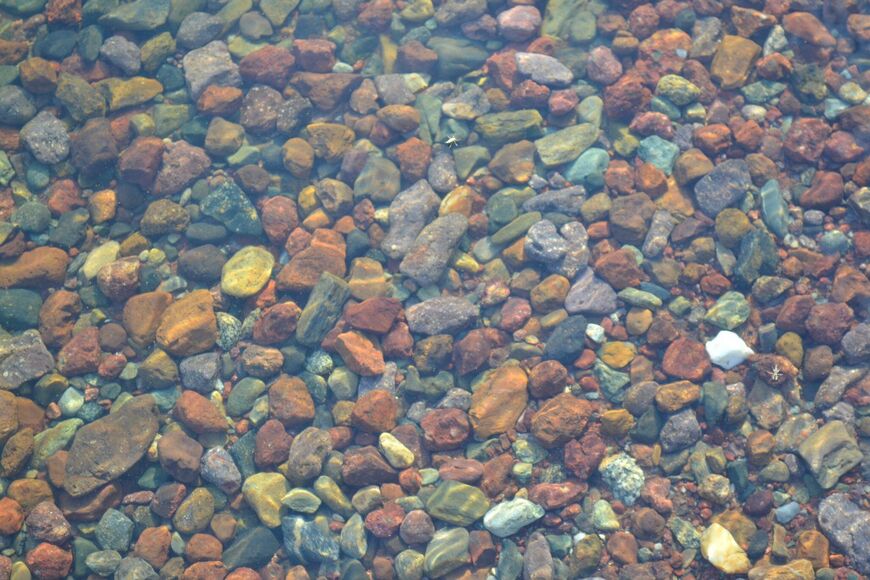 Вода в водоемах очень чистая