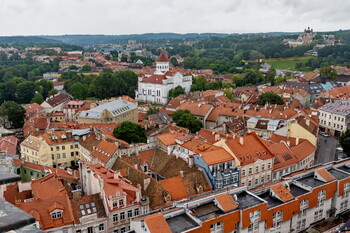 В крупных городах Литвы ввели карантин