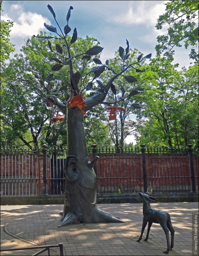Дерево желаний в Кронштадте. На самом деле наверху гнездо с птенчиками, куда туристы кидают мелочь, просто его не видно за веткой