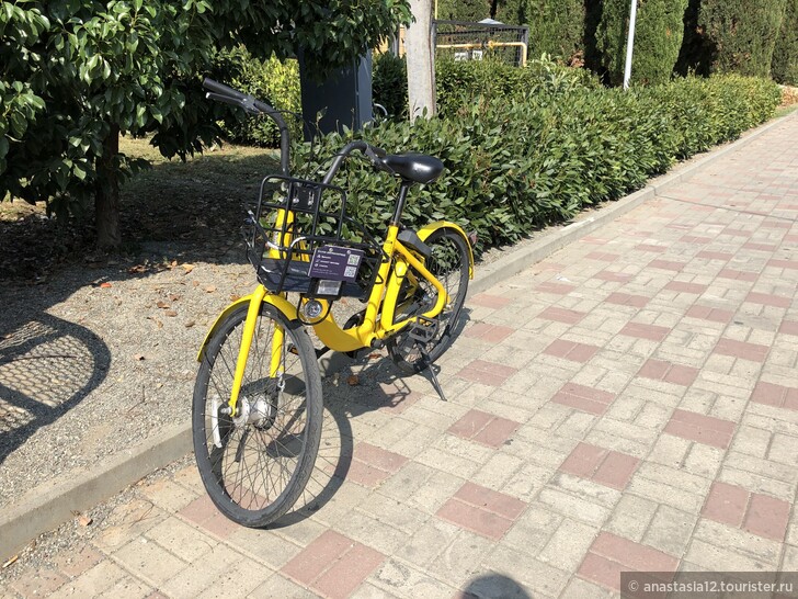 Прокат велосипеда и электросамоката в Адлере