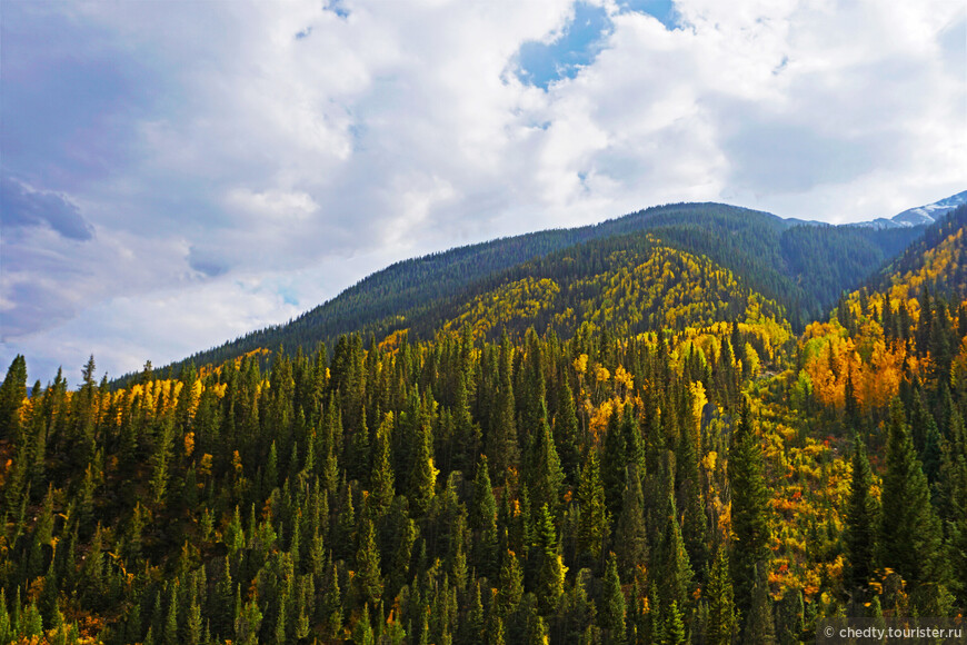 На сегодняшний день штат Колорадо готов предложить своим гражданам высокогорные леса, душистый воздух и прозрачную воду.