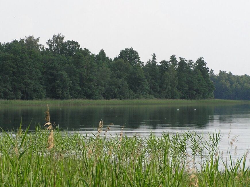 Озеро Глубокое в Рузском районе
