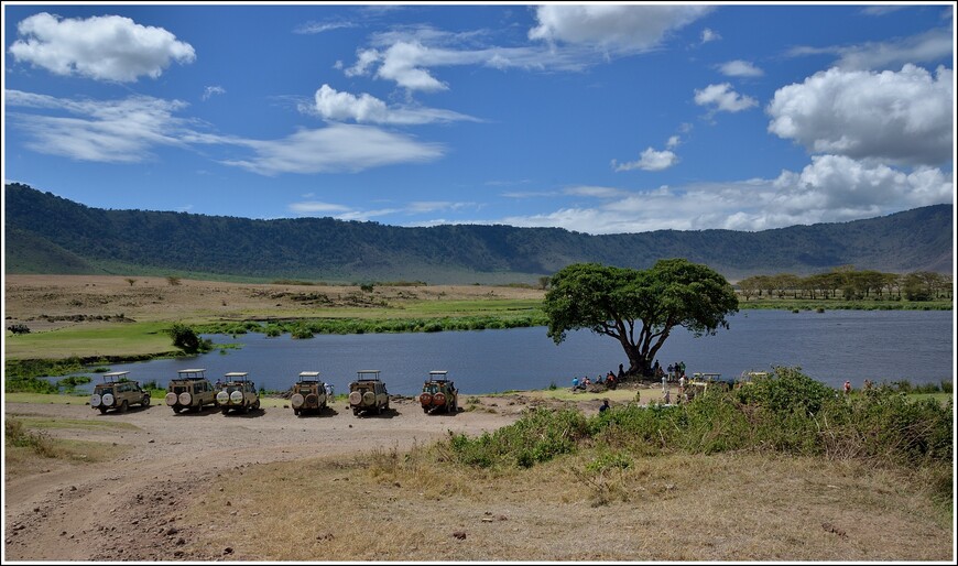 Львы в кратере Нгоронгоро