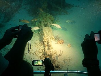 Подводные экскурсии на «Титаник» планируют запустить в 2021 году