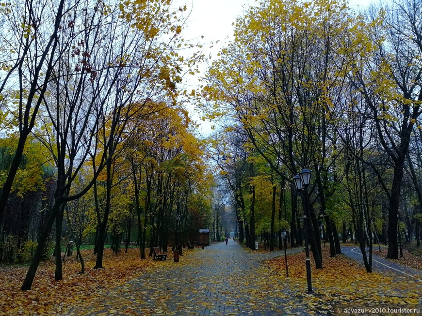 Прогулка по «липовому городу» поздней осенью…