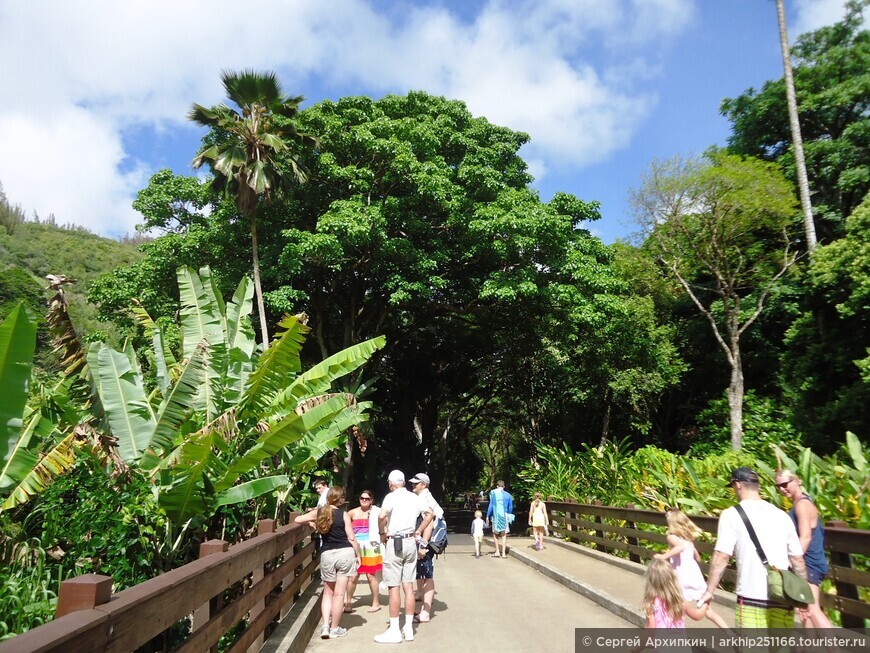 Тропический парк Ваймеа — красота Гавайской природы