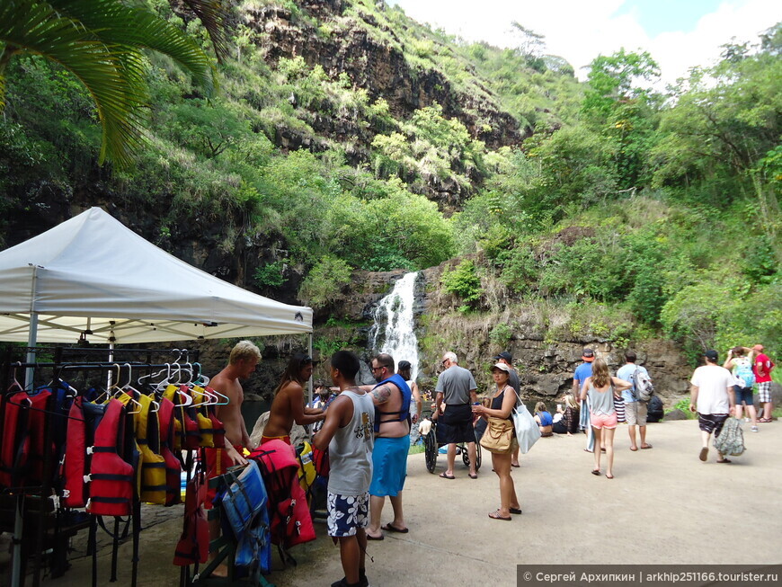 Тропический парк Ваймеа — красота Гавайской природы