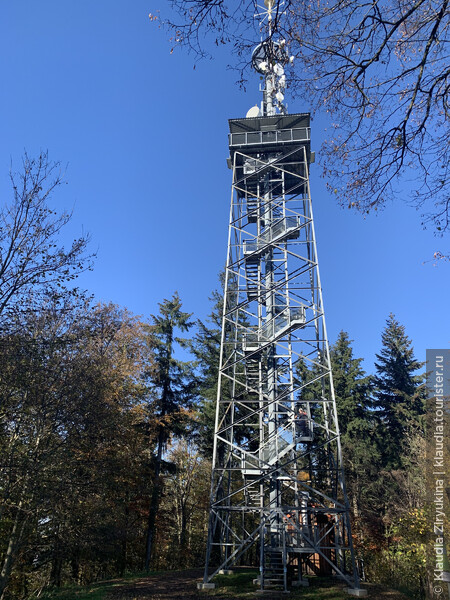 Смотровая башня — вид на единственный альпийский луг вне Альп