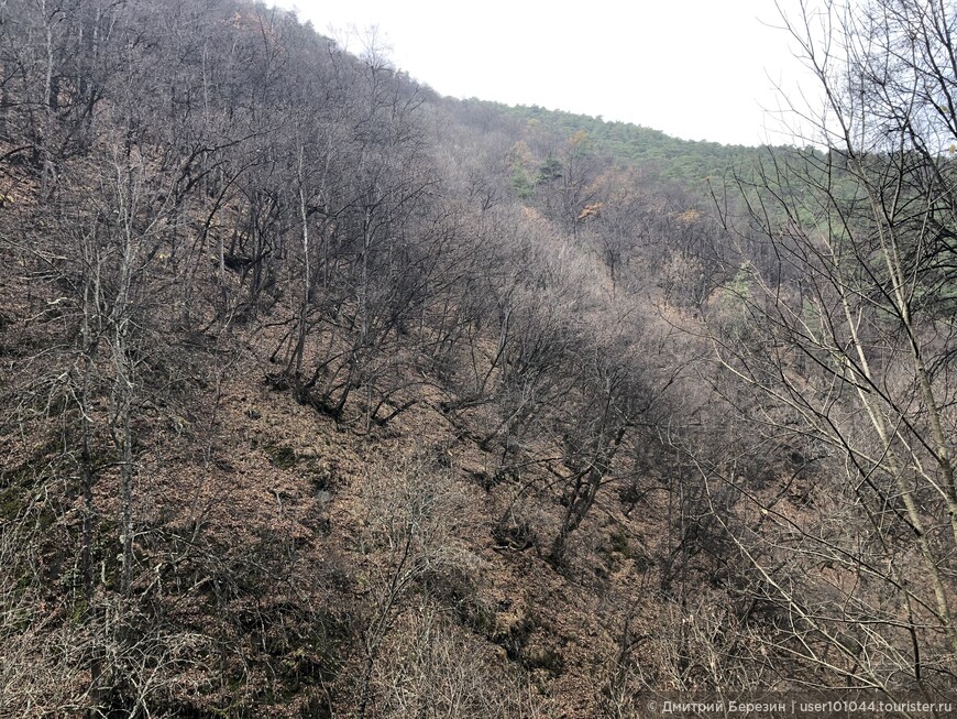 В поисках каменных башен (Ингушетия)