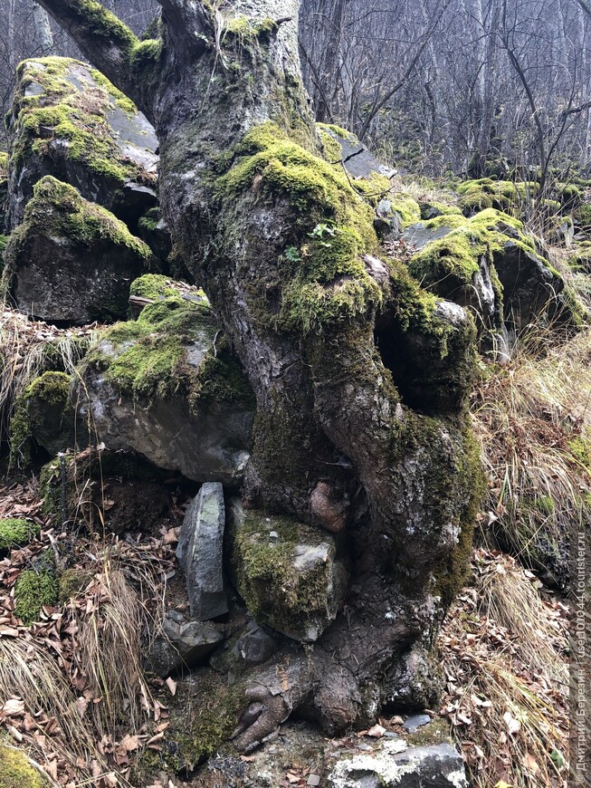 В поисках каменных башен (Ингушетия)