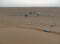 Султанат Оман. Ч - 6.  В песках пустыни Вахиб