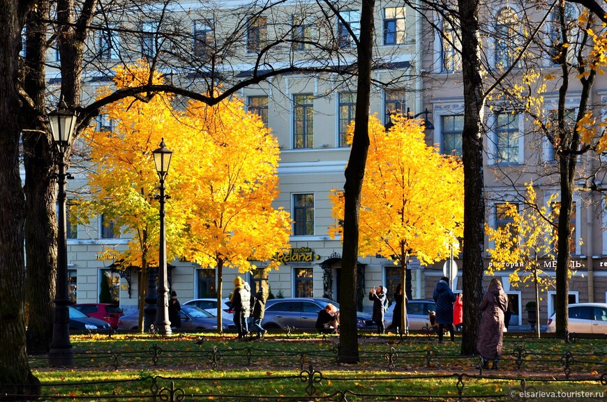 Два ноябрьских дня в Санкт-Петербурге