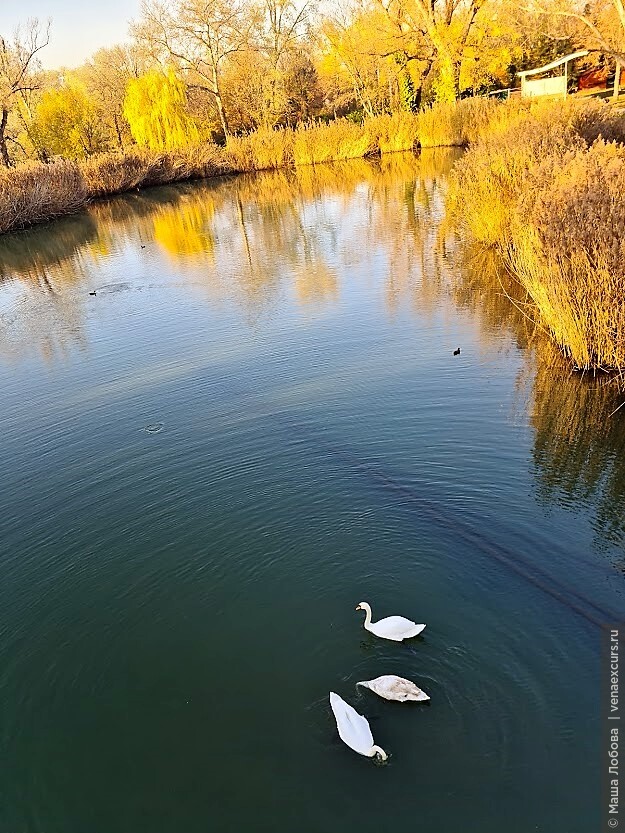 Дунайский парк. Осенняя прогулка «за Дунаем»