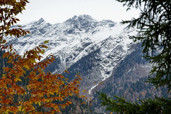 В горах Абхазии спасли двух туристов из РФ