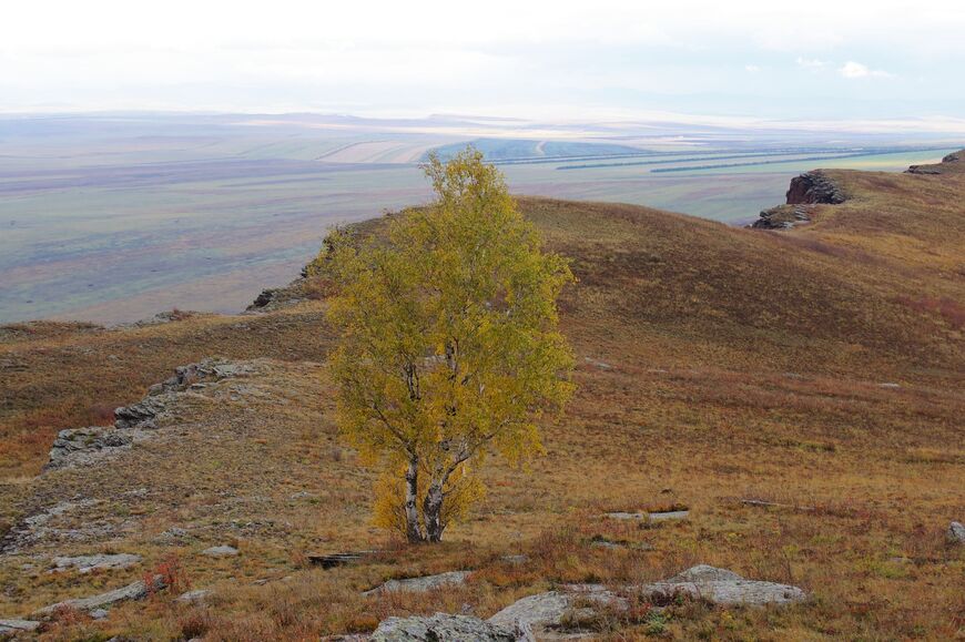 Гора и заповедник Оглахты