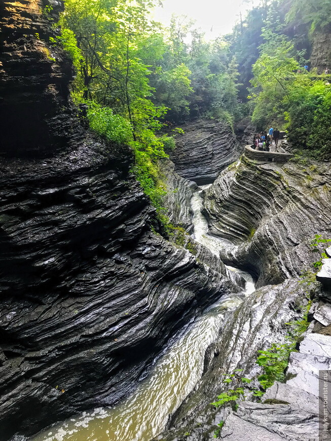 Сердце в горах