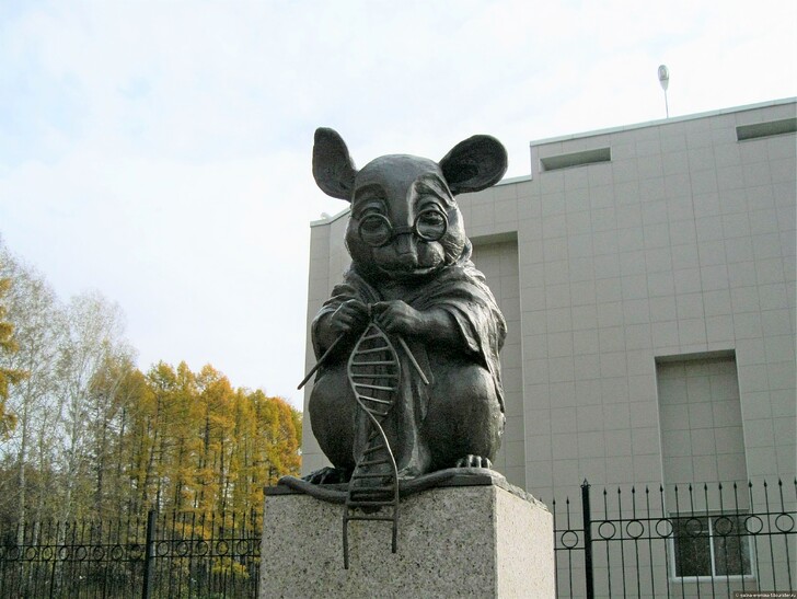 «Памятник лабораторной мыши, вяжущей нить ДНК» в Академгородке