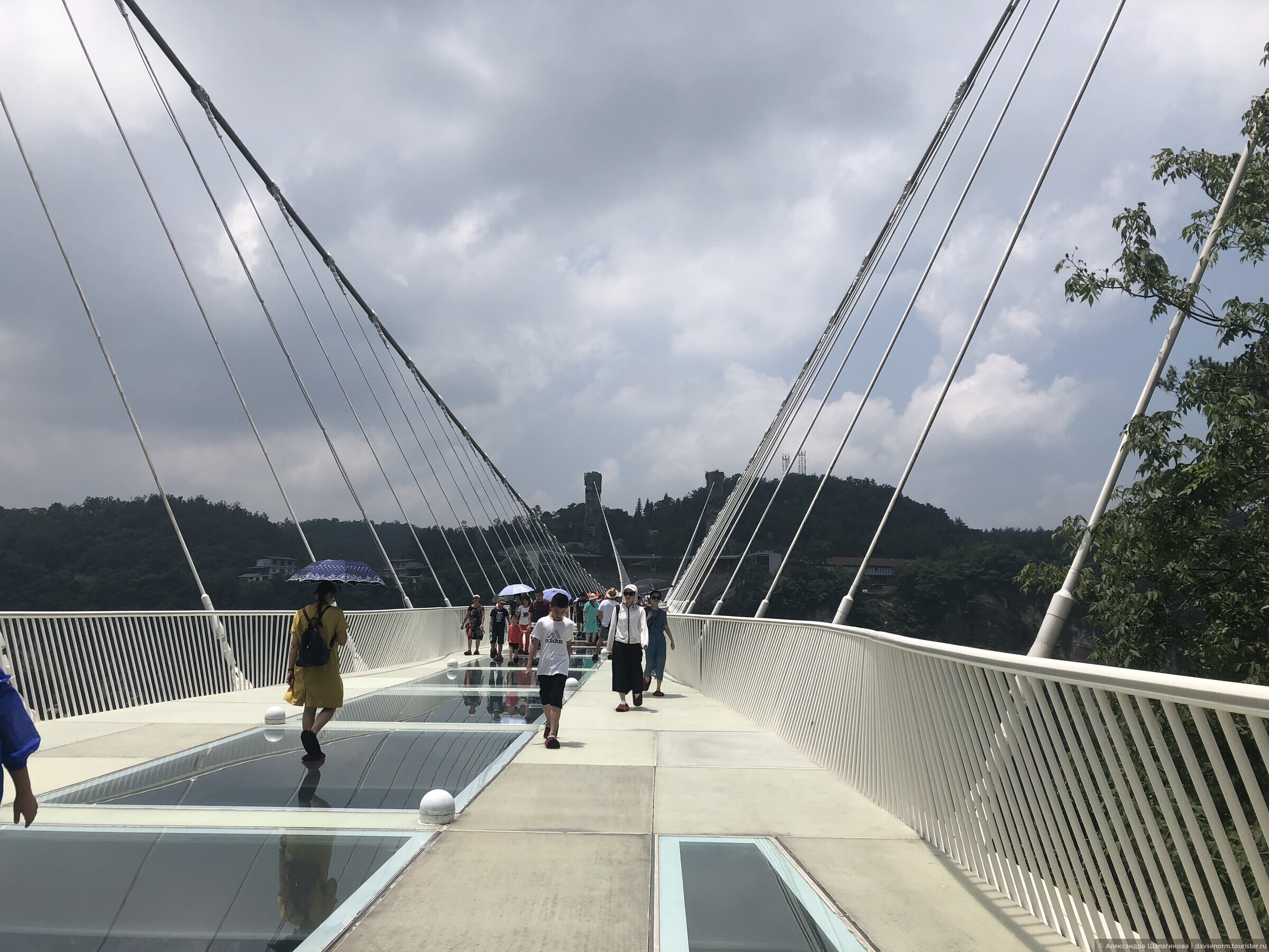 Стеклянный мост тайланд. Стеклянный мост Янцзы. Новый стеклянный мост в Янцзы. Стеклянный мост Чжанцзяцзе. Стеклянный мост в Пусане.