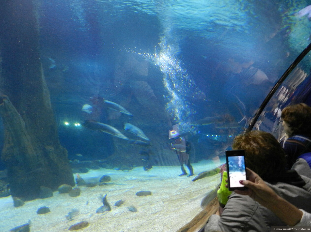 Парк аквариум москва