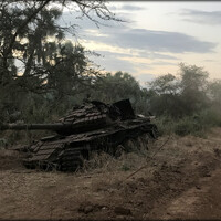 Путешествие в Южный Судан ч.4 — Болото Судд 