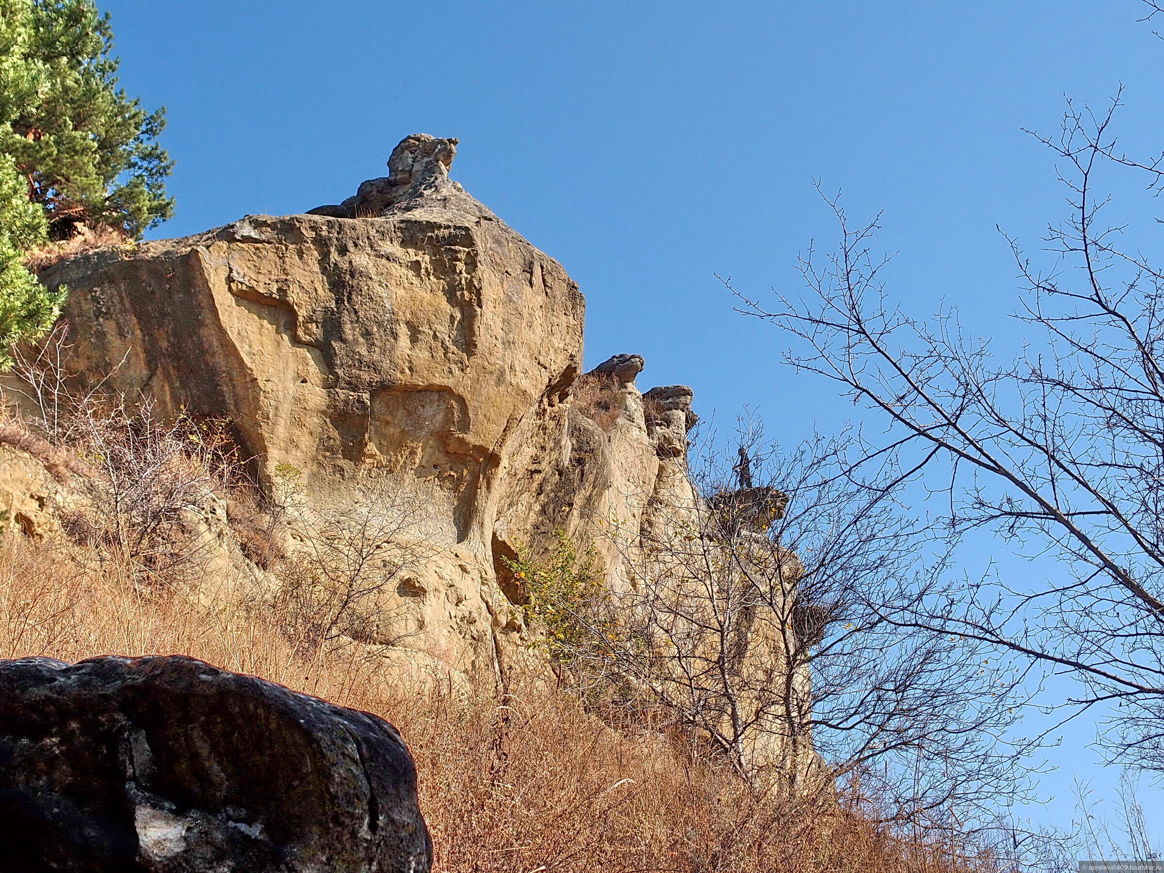 Красное солнышко кисловодск фото