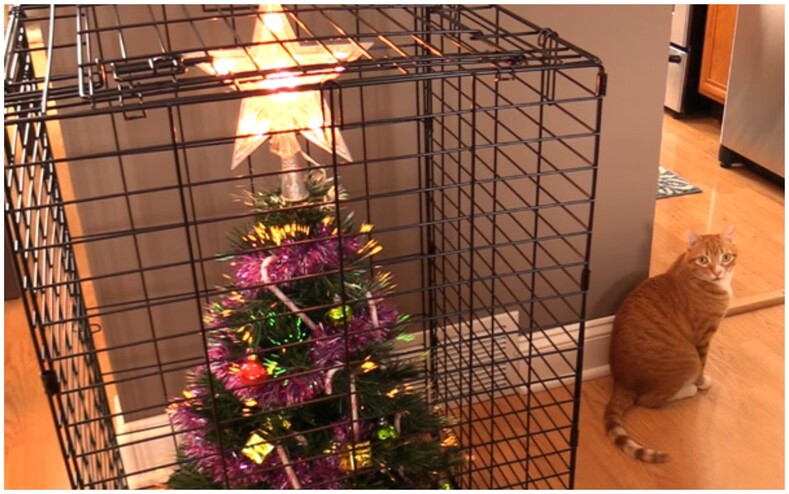 Смешные фото пользователей, которые попытались защитить новогодние елки от домашних животных (получилось гениально)