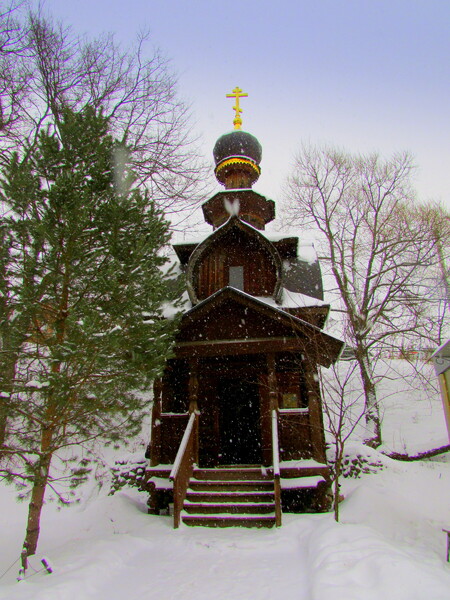 Сергиев Посад. Светлая вера в чудо (09.01.2015)